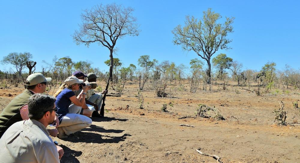 Hoyo Hoyo Safari Lodge Mluwati Concession Ngoại thất bức ảnh