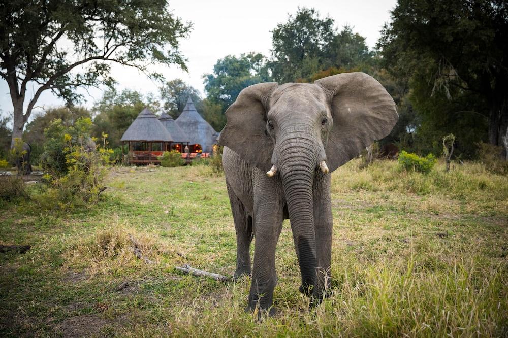 Hoyo Hoyo Safari Lodge Mluwati Concession Ngoại thất bức ảnh