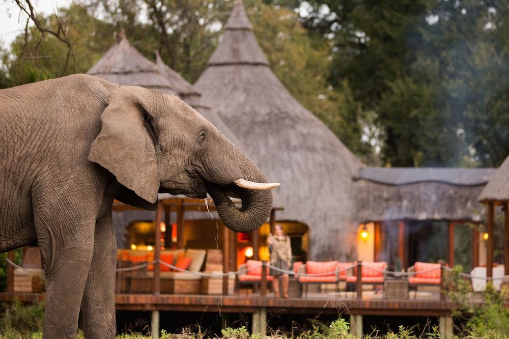 Hoyo Hoyo Safari Lodge Mluwati Concession Ngoại thất bức ảnh