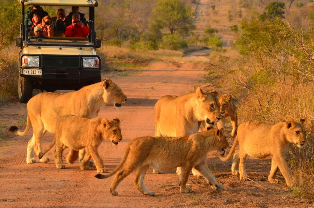 Hoyo Hoyo Safari Lodge Mluwati Concession Ngoại thất bức ảnh