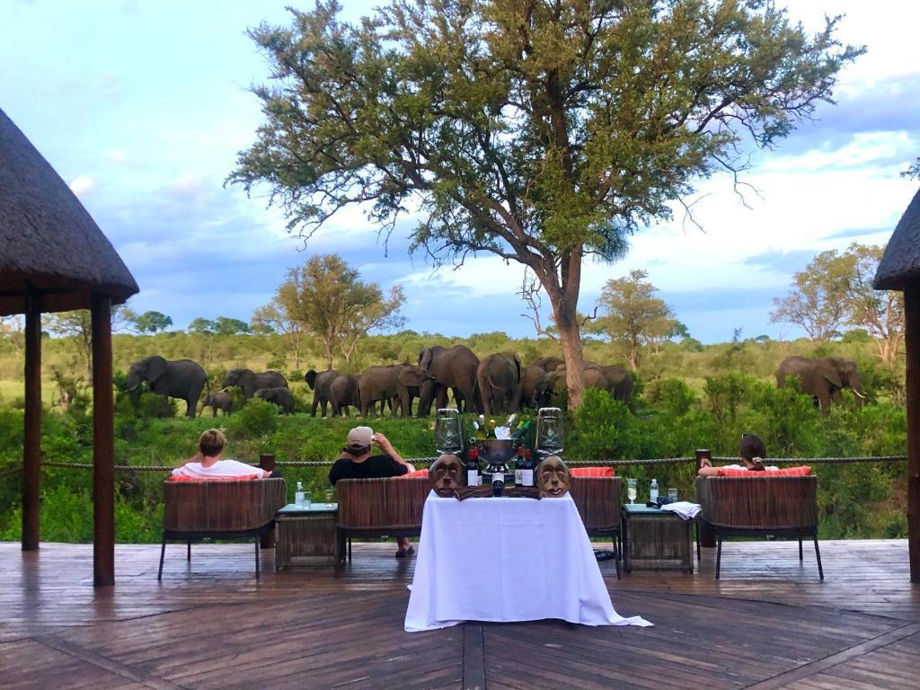Hoyo Hoyo Safari Lodge Mluwati Concession Ngoại thất bức ảnh