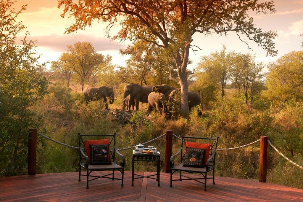 Hoyo Hoyo Safari Lodge Mluwati Concession Ngoại thất bức ảnh