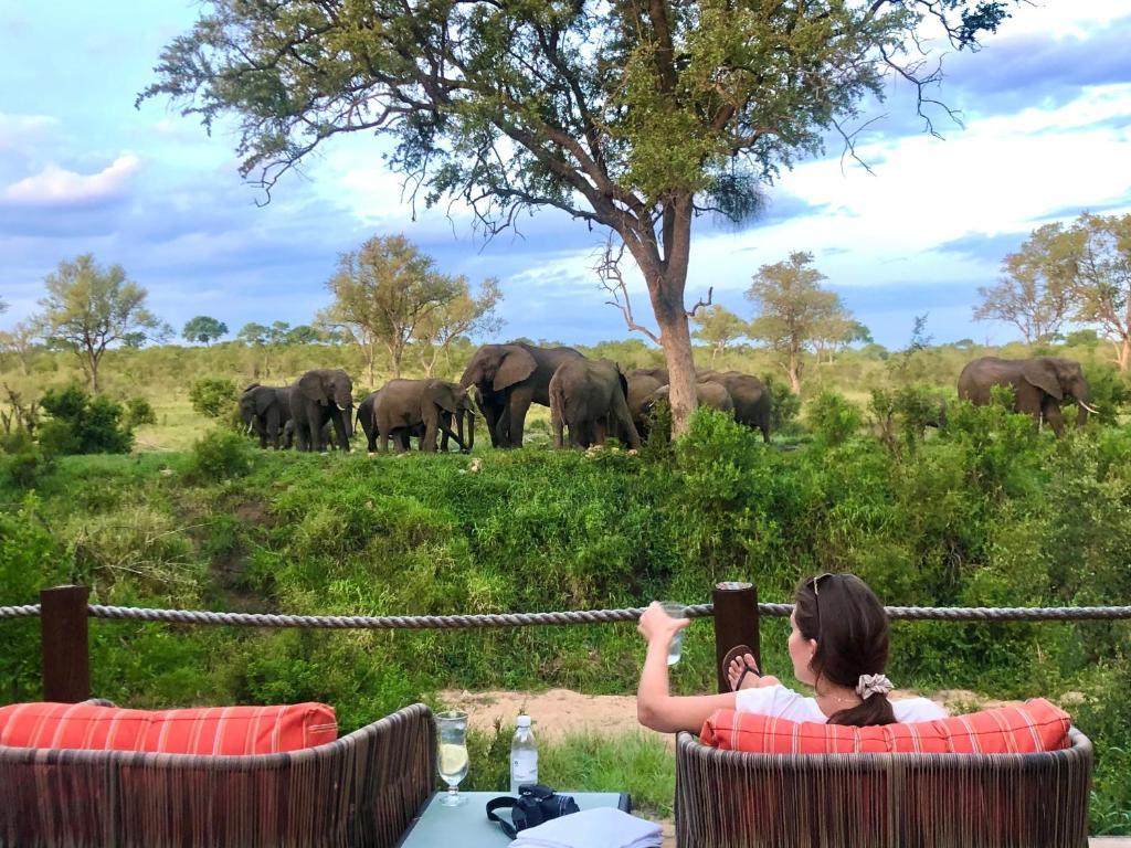 Hoyo Hoyo Safari Lodge Mluwati Concession Ngoại thất bức ảnh